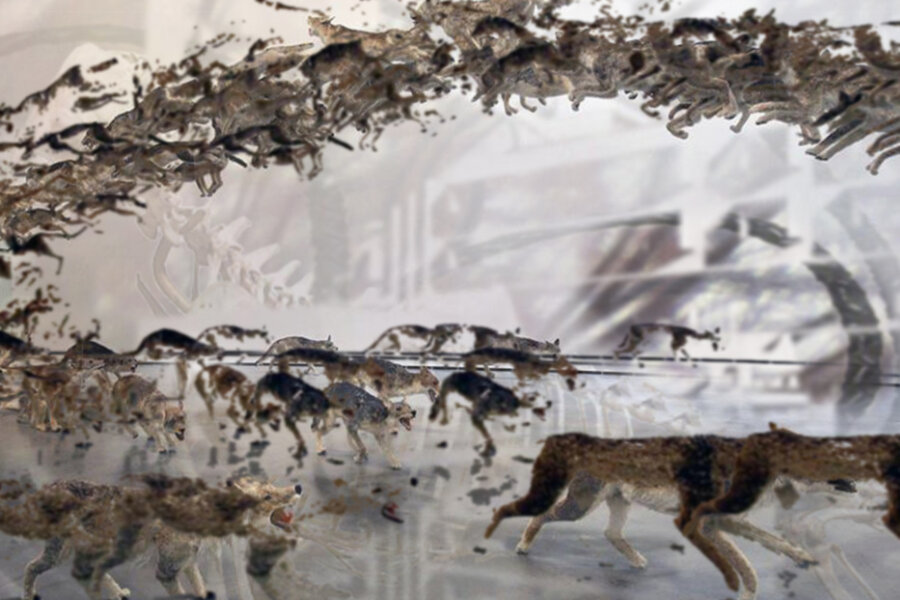 Štěpánka Šimlová, Go to picture 